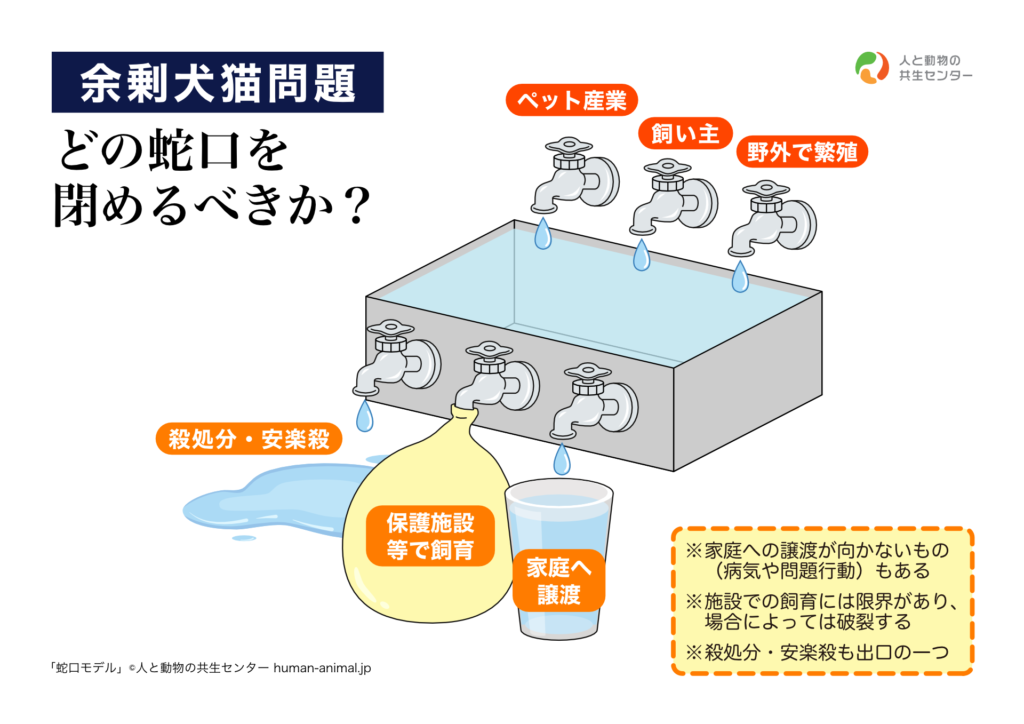 蛇口を絞める活動 本当の蛇口とは? | やまがた不妊去勢クリニック